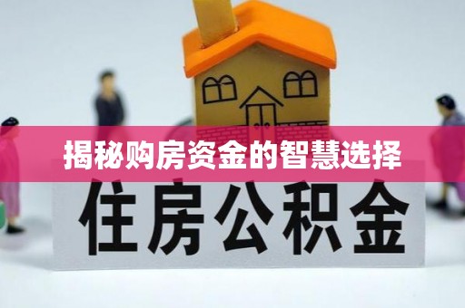 望都揭秘购房资金的智慧选择