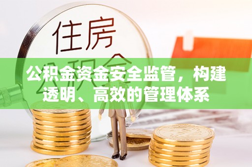 望都公积金资金安全监管，构建透明、高效的管理体系