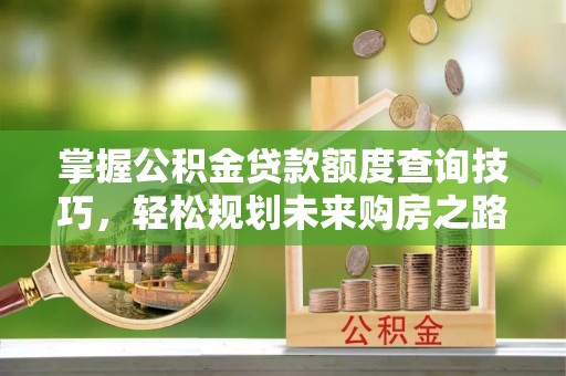望都掌握公积金贷款额度查询技巧，轻松规划未来购房之路