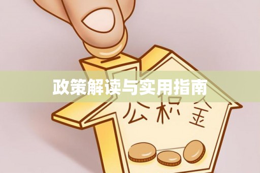望都政策解读与实用指南