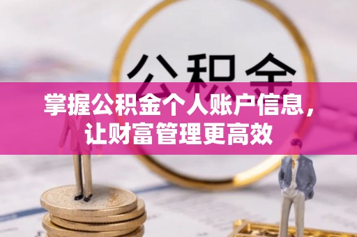 望都掌握公积金个人账户信息，让财富管理更高效