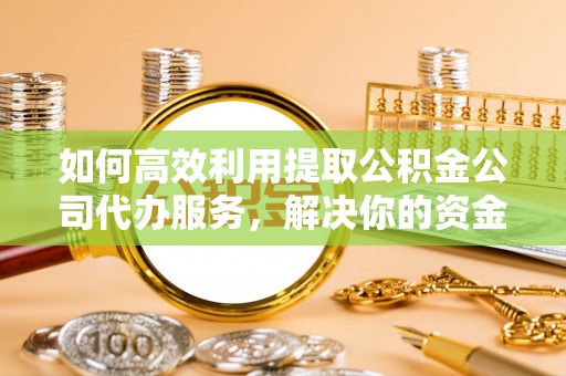望都如何高效利用提取公积金公司代办服务，解决你的资金难题