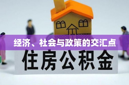 望都经济、社会与政策的交汇点