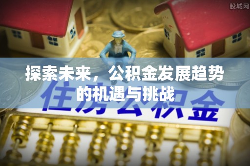 望都探索未来，公积金发展趋势的机遇与挑战