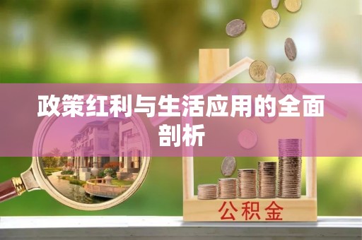 望都政策红利与生活应用的全面剖析