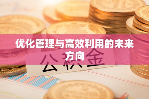 望都优化管理与高效利用的未来方向