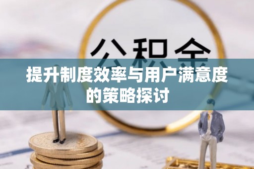 望都提升制度效率与用户满意度的策略探讨